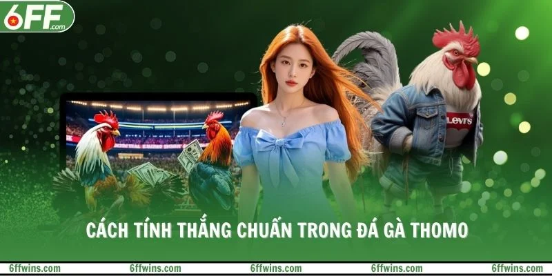 Cách tính thắng chuẩn trong đá gà Thomo