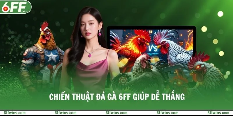 Chiến thuật đá gà 6FF giúp dễ thắng