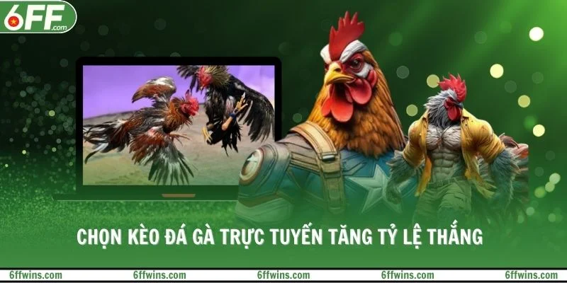 Chọn kèo đá gà trực tuyến tăng tỷ lệ thắng