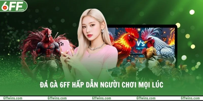 Đá gà 6FF hấp dẫn người chơi mọi lúc