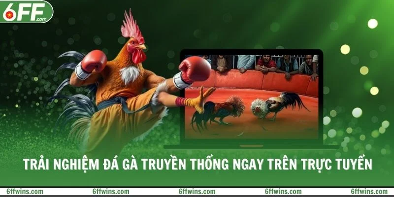 Trải nghiệm đá gà truyền thống ngay trên trực tuyến